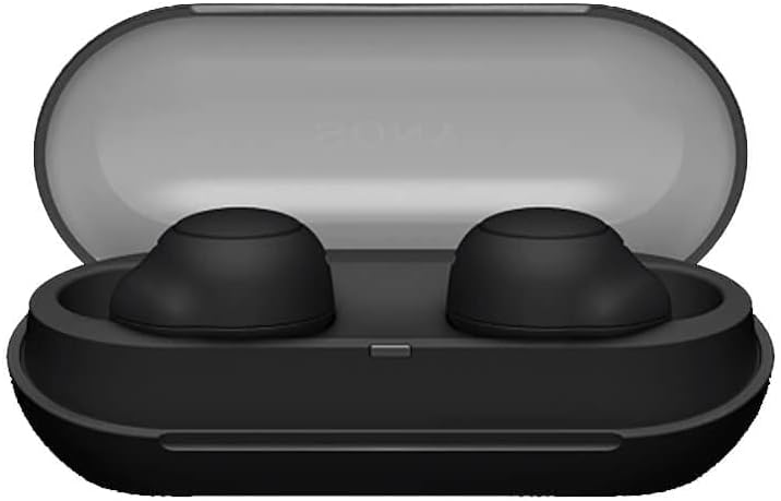 Écouteurs intra-auriculaires Bluetooth véritablement sans fil Sony WF-C500 avec micro et résistance à l'eau IPX4, noir