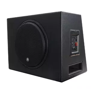 DB Drive DX-BC12A DX Loaded Powered Bass Crate (Single 12" - 300W Max)