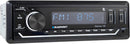 Récepteur sans fil Blaupunkt DAYTONA140 SDin (USB / AUX / SD / Bluetooth) 