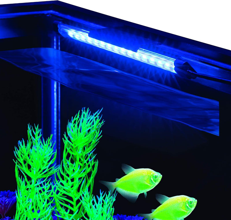 GloFish 29014 LED Aquarium Light, 8-Inch, Blue