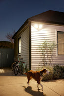 Google Nest Cam Wired Outdoor Security Camera with Floodlight