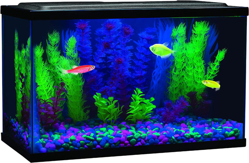 GloFish 29014 LED Aquarium Light, 8-Inch, Blue