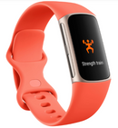Fitbit Charge 6 Fitness Tracker with GPS, Heart Rate & Sleep - Coral/Gold