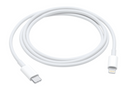 Câble USB-C vers Lightning Apple de 1 m (3,28 pi) - Blanc