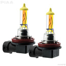 ODX H8 Halogen Bulb H8 Fog Lights PGJ19-1
