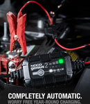 NOCO GENIUS2 Smart Battery Charger/Maintainer/Desulfator, 2-Amp, 6V/12V - Bass Electronics