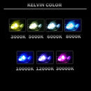 H13 HID Replacement Bulbs - 3700 Lumens (2 pieces) - Bass Electronics